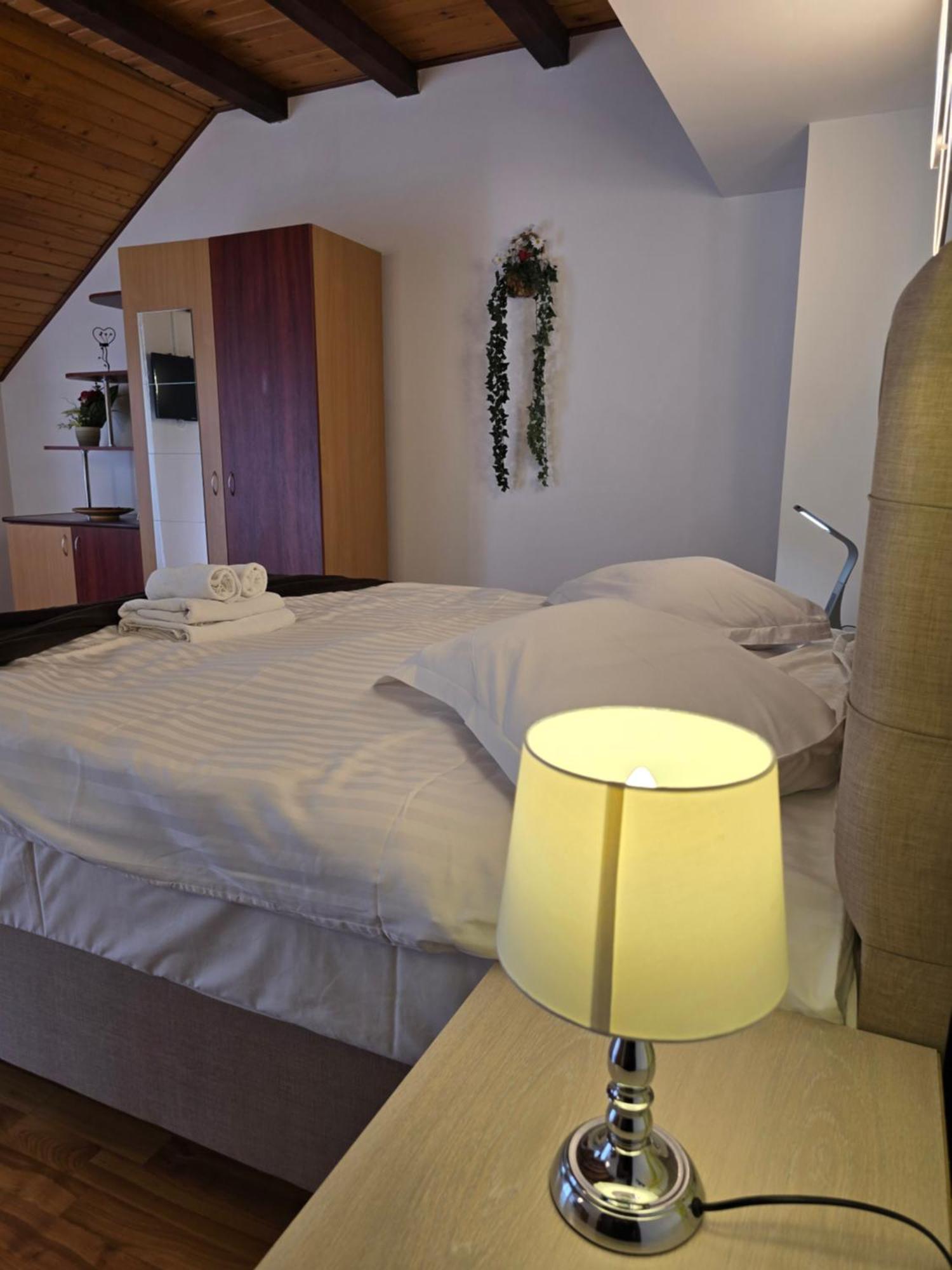 Pensiunea Eliza Sinaia Chambre photo